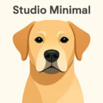 Studio Minimal Featured Image
