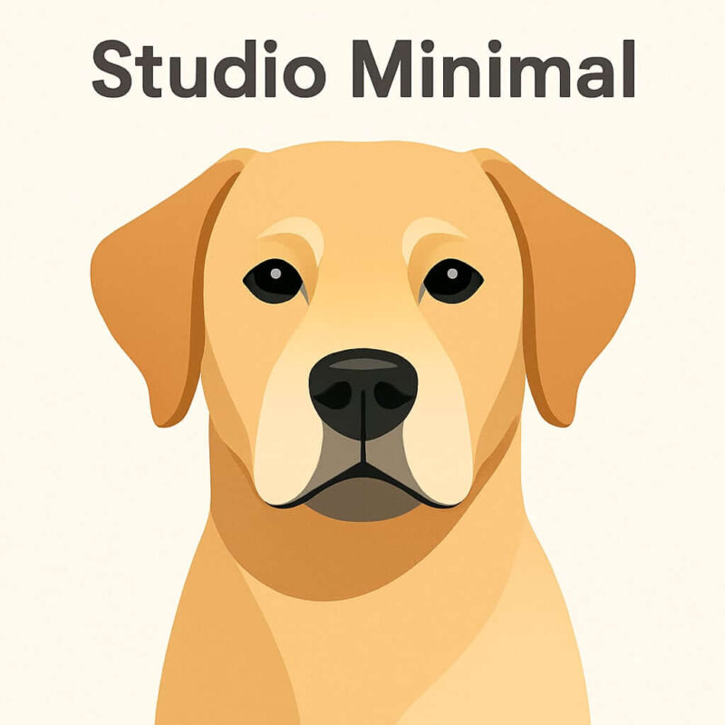 Studio Minimal Featured Studio Minimal Featured Image