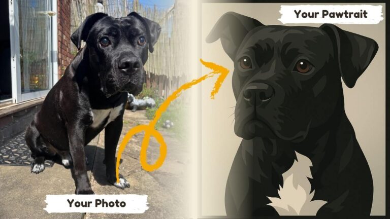 Before & after example of a minimalist portrait of a dog