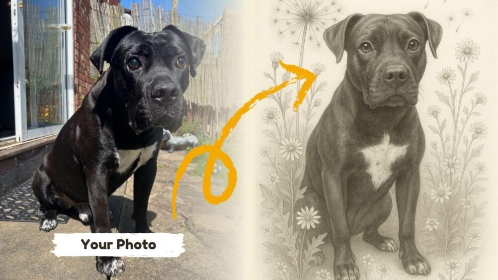 Before & after example of a Botanical Pencil Sketch style portrait of a dog