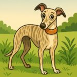 Classic cartoon style Whippet
