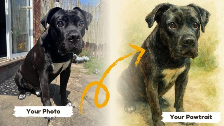 Before & after example of watercolour painting of a dog