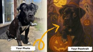 Before & after example of a Cartoon Halloween style portrait of a dog