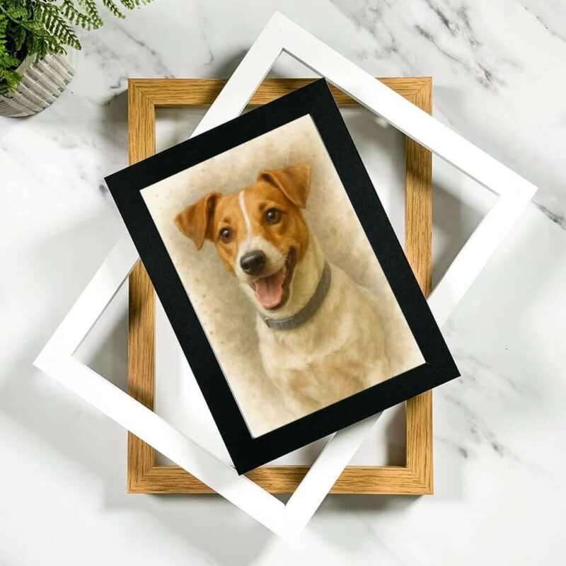 Framed Prints - Featured Stack of photo frames. The top one containing a picture of a Jack Russel
