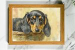 Framed watercolour print of a Dachshund