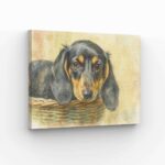 A canvas print of a Dachshund