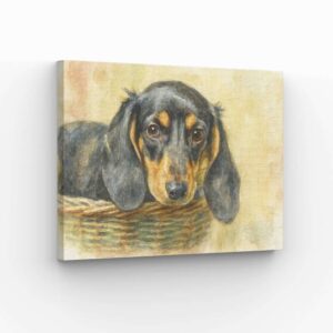 A canvas print of a Dachshund