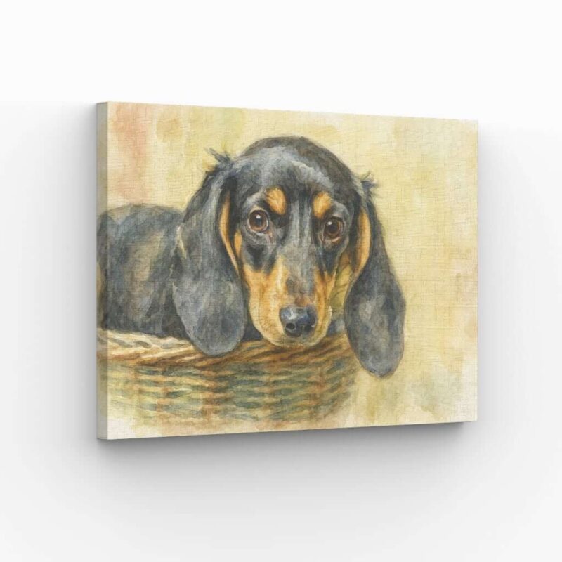 A canvas print of a Dachshund