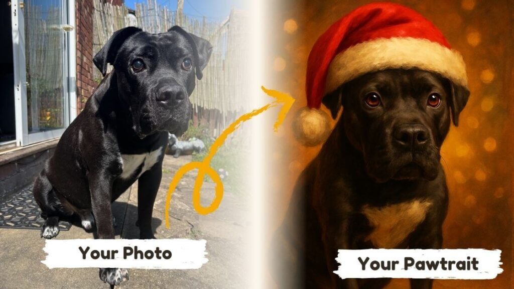 Before & after example of a festive Christmas style portrait of a dog