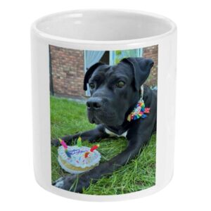 Custom Pet Photo Mug (Upload Your Own)