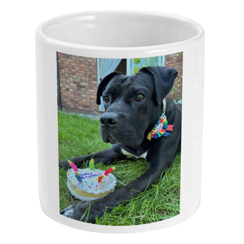 Pet Portrait Mug PetPortraitMug